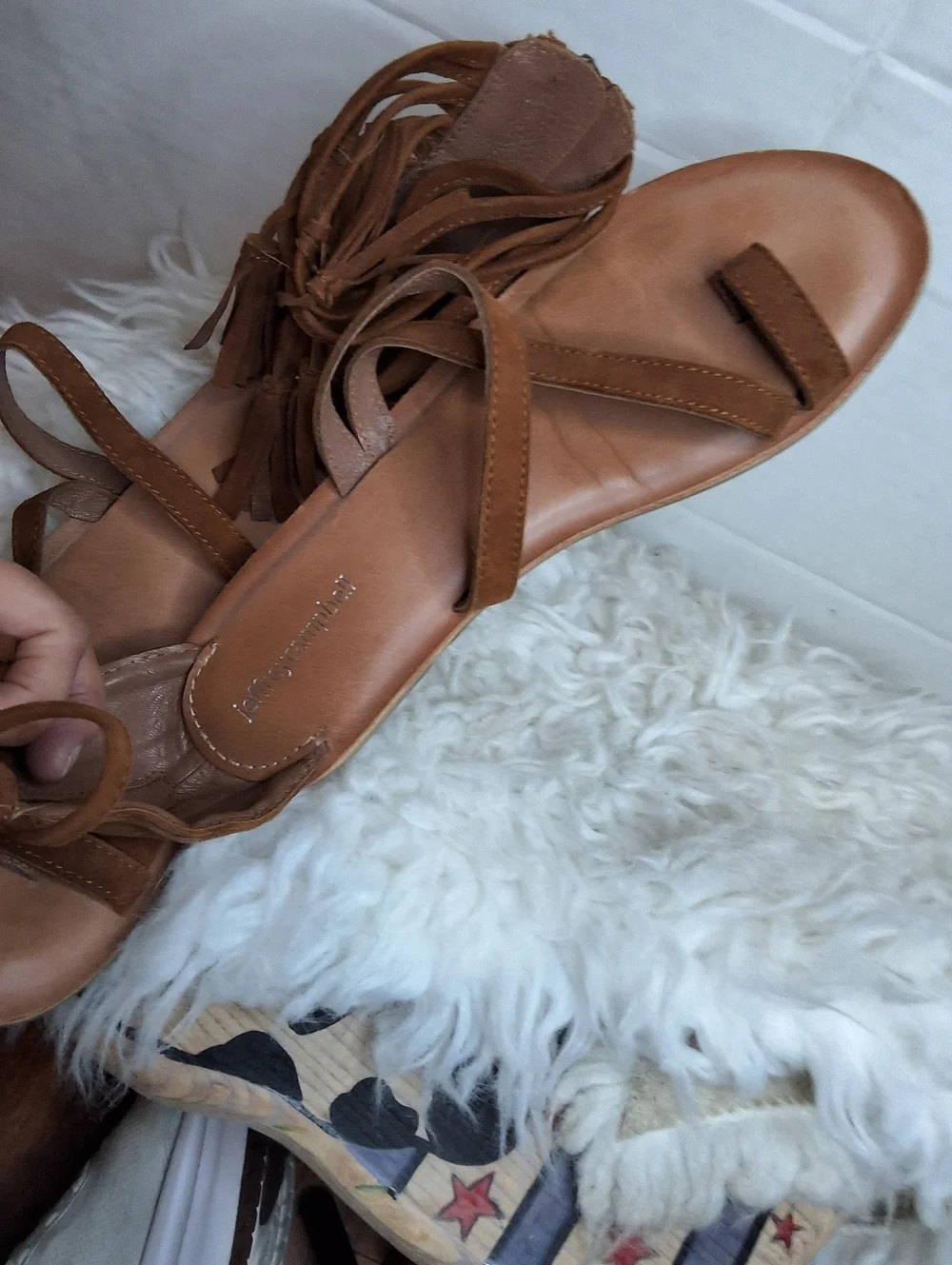 Jeffrey Campbell jeffrey campbell